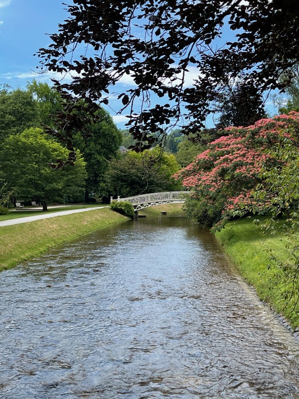 View from the bridge